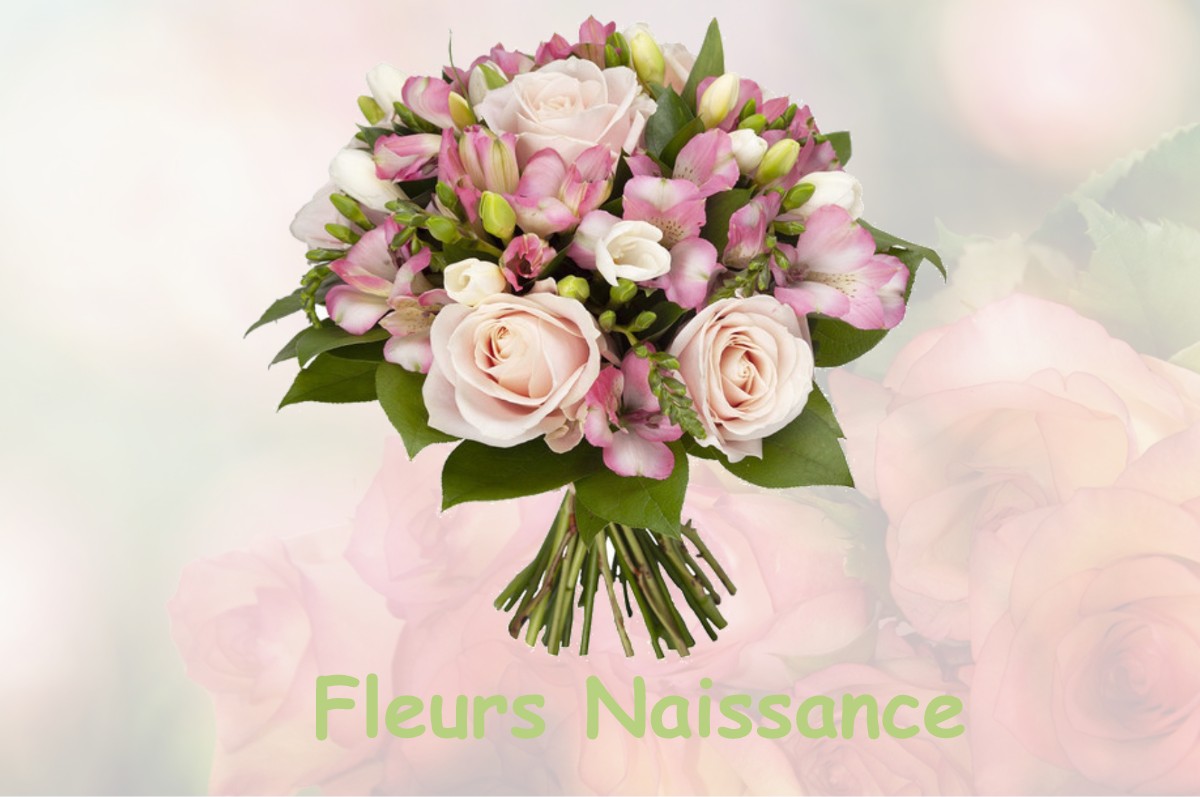 fleurs naissance BESSINS