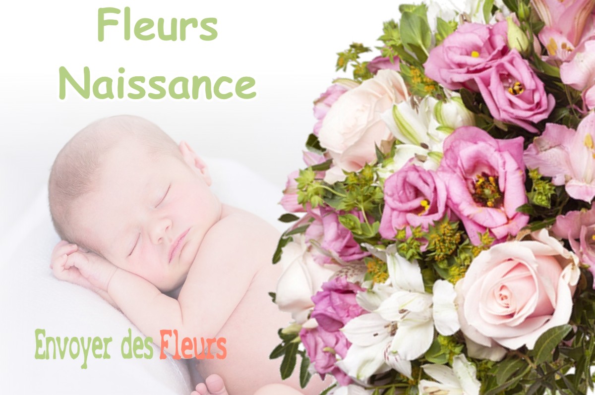 lIVRAISON FLEURS NAISSANCE à BESSINS